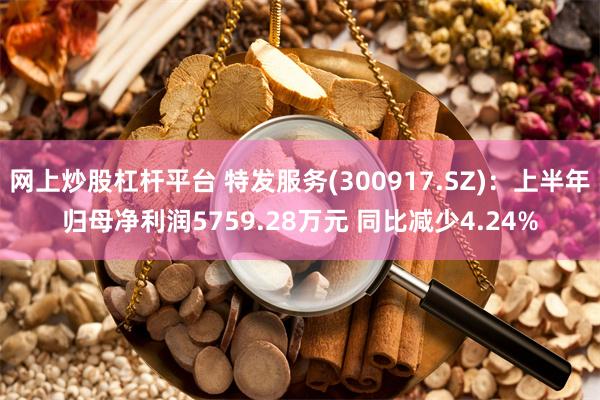 网上炒股杠杆平台 特发服务(300917.SZ)：上半年归母净利润5759.28万元 同比减少4.24%