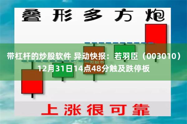 带杠杆的炒股软件 异动快报：若羽臣（003010）12月31日14点48分触及跌停板