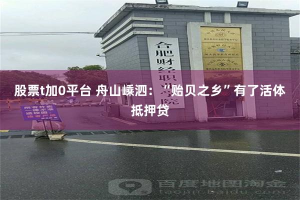 股票t加0平台 舟山嵊泗：“贻贝之乡”有了活体抵押贷